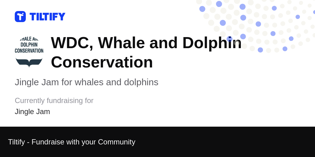 Tiltify Jingle Jam for whales and dolphins