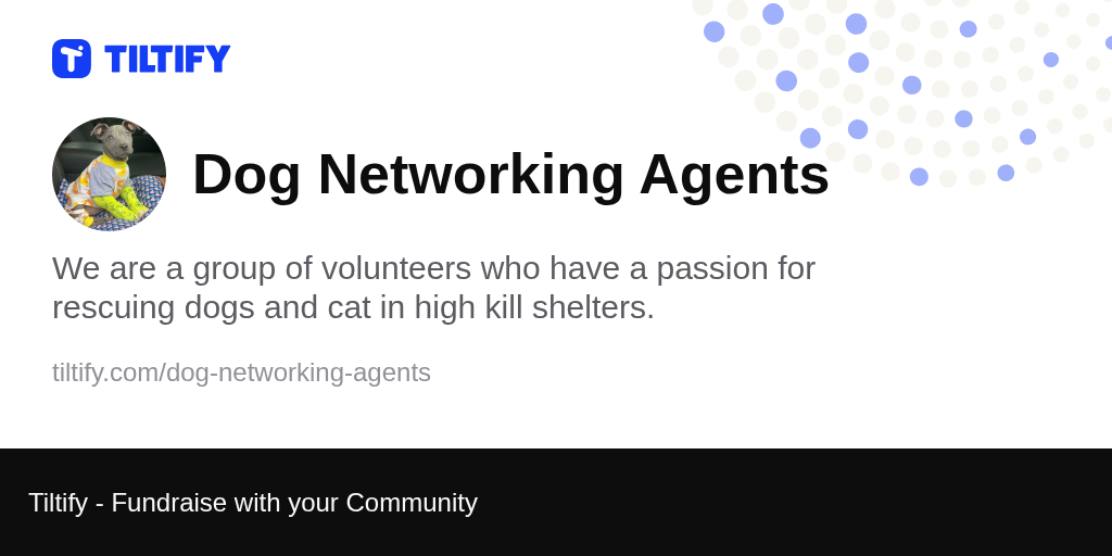 Tiltify Dog Networking Agents